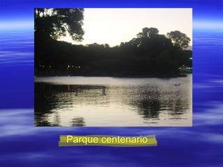 Parque centenario 