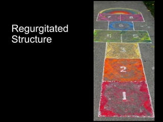 Regurgitated
Structure
 