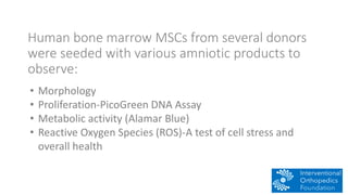Human bone marrow MSCs from several donors
were seeded with various amniotic products to
observe:
• Morphology
• Proliferation-PicoGreen DNA Assay
• Metabolic activity (Alamar Blue)
• Reactive Oxygen Species (ROS)-A test of cell stress and
overall health
 