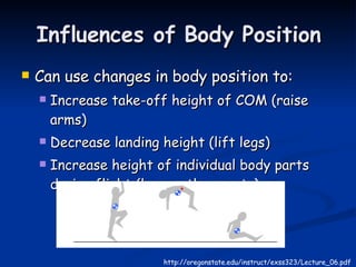 Influences of Body Position Can use changes in body position to: Increase take-off height of COM (raise arms) Decrease landing height (lift legs) Increase height of individual body parts during flight (lower other parts) http://oregonstate.edu/instruct/exss323/Lecture_06.pdf 