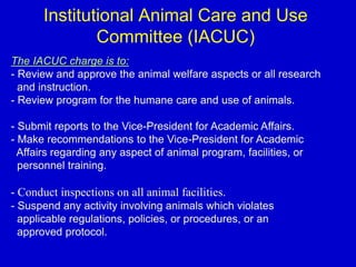 How to Establish Animal Core Facility (VIVARIUM) by Prof. Mohamed Labib ...