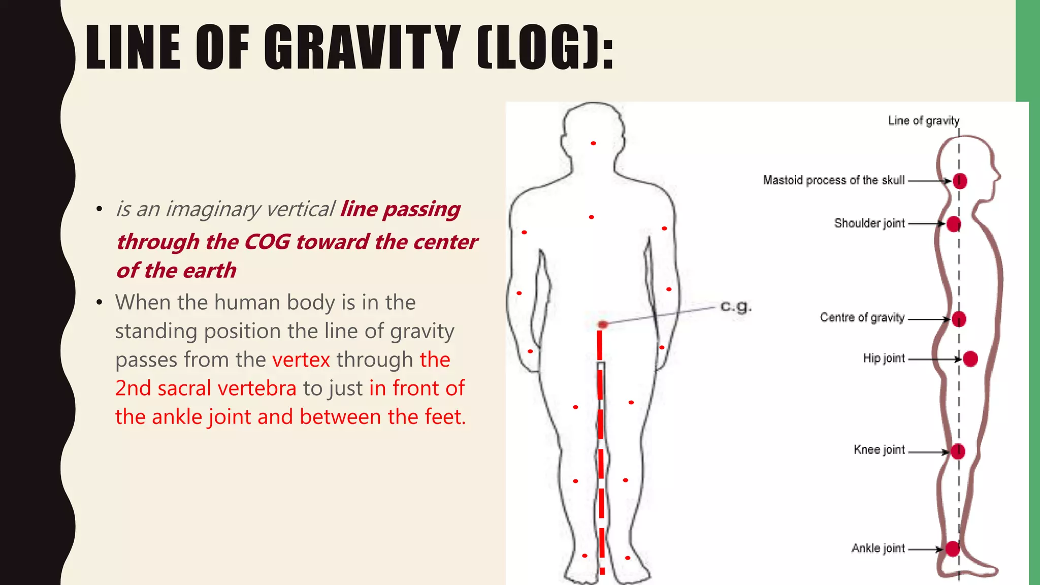 Center Of Gravity And Stability PPTX