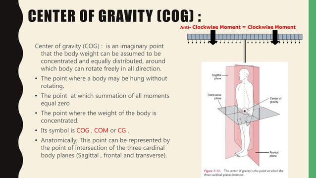 Center of gravity and stability | PPT