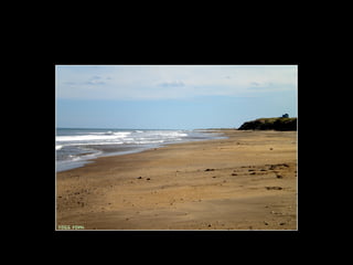 Centinela del mar ross