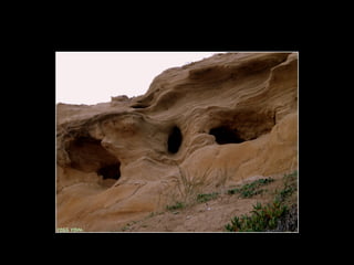 Centinela del mar ross