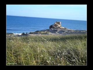 Centinela del mar ross