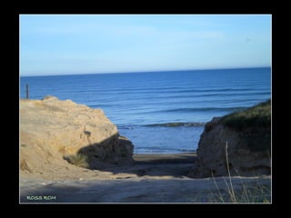 Centinela del mar ross