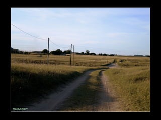 Centinela del mar ross