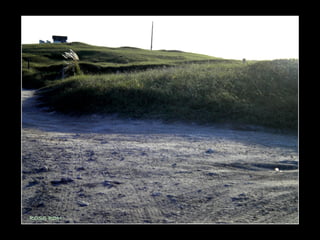 Centinela del mar ross