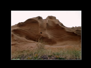 Centinela del mar ross