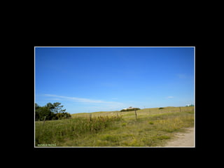 Centinela del mar ross