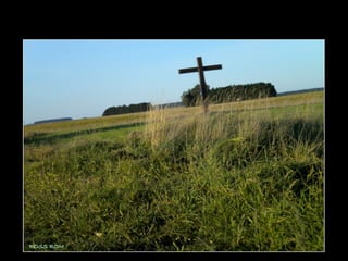 Centinela del mar ross