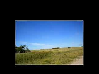 Centinela del mar ross