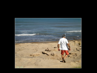 Centinela del mar ross