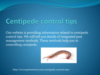 Our website is providing information related to centipede
control tips. We will tell you details of integrated pest
management methods. These methods help you in
controlling centipede.
http://www.pestremove.com/centipede-control-tips/
 