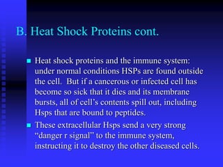 B. Heat Shock Proteins cont.
 Heat shock proteins and the immune system:
under normal conditions HSPs are found outside
the cell. But if a cancerous or infected cell has
become so sick that it dies and its membrane
bursts, all of cell’s contents spill out, including
Hsps that are bound to peptides.
 These extracellular Hsps send a very strong
“danger r signal” to the immune system,
instructing it to destroy the other diseased cells.
 