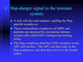 C. Hsp-danger signal to the immune
system:
 A sick cell dies and ruptures, spilling the Hsp-
peptide complexes.
 These extracellular complexes of HSPs and
peptides are detected by circulating immune
system cells called APCs (antigen-presenting
cells).
 The Hsp complexes bind the CD91 receptor on the
APC cell surface. The APC can then take in the
Hsp complexes, and then they travel to the lymph
nodes.
 