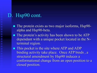 D. Hsp90 cont.
 The protein exists as two major isoforms, Hsp90-
alpha and Hsp90-beta.
 The protein’s activity has been shown to be ATP
dependant with a unique pocket located in the N-
terminal region.
 This pocket is the site where ATP and ADP
binding activity take place. Once ATP binds , a
structural amendment by Hsp90 induces a
conformational change from an open position to a
closed position.
 