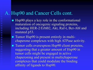 A. Hsp90 and Cancer Cells cont.
 Hsp90 plays a key role in the conformational
maturation of oncogenic signaling proteins,
including HER-2/ErbB2, Akt, Raf-t, Bcr-Abl and
mutated p53.
 Tumor Hsp90 is present entirely in multi-
chaperone complexes with high ATPase activity.
 Tumor cells overexpress Hsp90 client proteins,
suggesting that a greater amount of Hsp90 in
tumor cells might be engaged in active
chaperoning and present in multichaperone
complexes that could modulate the binding
affinity of ligands to Hsp90.
 