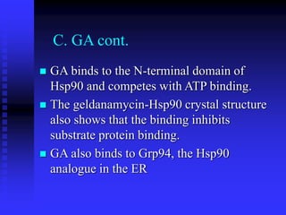C. GA cont.
 GA binds to the N-terminal domain of
Hsp90 and competes with ATP binding.
 The geldanamycin-Hsp90 crystal structure
also shows that the binding inhibits
substrate protein binding.
 GA also binds to Grp94, the Hsp90
analogue in the ER
 