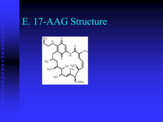 E. 17-AAG Structure
 