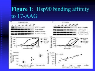 Figure 1: Hsp90 binding affinity
to 17-AAG
 
