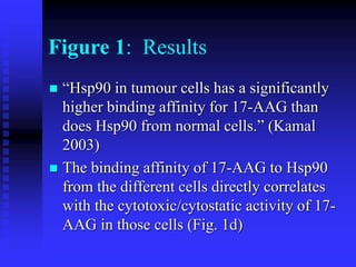 Figure 1: Results
 “Hsp90 in tumour cells has a significantly
higher binding affinity for 17-AAG than
does Hsp90 from normal cells.” (Kamal
2003)
 The binding affinity of 17-AAG to Hsp90
from the different cells directly correlates
with the cytotoxic/cytostatic activity of 17-
AAG in those cells (Fig. 1d)
 