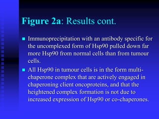 Figure 2a: Results cont.
 Immunoprecipitation with an antibody specific for
the uncomplexed form of Hsp90 pulled down far
more Hsp90 from normal cells than from tumour
cells.
 All Hsp90 in tumour cells is in the form multi-
chaperone complex that are actively engaged in
chaperoning client oncoproteins, and that the
heightened complex formation is not due to
increased expression of Hsp90 or co-chaperones.
 