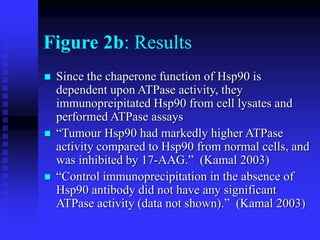 Figure 2b: Results
 Since the chaperone function of Hsp90 is
dependent upon ATPase activity, they
immunopreipitated Hsp90 from cell lysates and
performed ATPase assays
 “Tumour Hsp90 had markedly higher ATPase
activity compared to Hsp90 from normal cells, and
was inhibited by 17-AAG.” (Kamal 2003)
 “Control immunoprecipitation in the absence of
Hsp90 antibody did not have any significant
ATPase activity (data not shown).” (Kamal 2003)
 