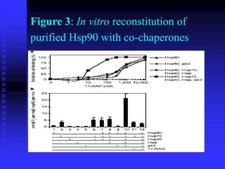 Figure 3: In vitro reconstitution of
purified Hsp90 with co-chaperones
 