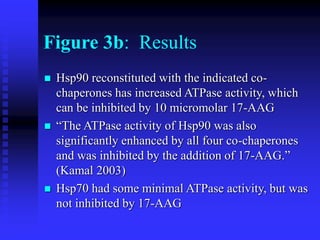 Figure 3b: Results
 Hsp90 reconstituted with the indicated co-
chaperones has increased ATPase activity, which
can be inhibited by 10 micromolar 17-AAG
 “The ATPase activity of Hsp90 was also
significantly enhanced by all four co-chaperones
and was inhibited by the addition of 17-AAG.”
(Kamal 2003)
 Hsp70 had some minimal ATPase activity, but was
not inhibited by 17-AAG
 