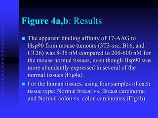 Figure 4a,b: Results
 The apparent binding affinity of 17-AAG to
Hsp90 from mouse tumours (3T3-src, B16, and
CT26) was 8-35 nM compared to 200-600 nM for
the mouse normal tissues, even though Hsp90 was
more abundantly expressed in several of the
normal tissues (Fig4a)
 For the human tissues, using four samples of each
tissue type: Normal breast vs. Breast carcinoma
and Normal colon vs. colon carcinomas (Fig4b)
 