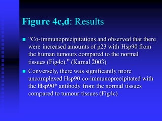 Figure 4c,d: Results
 “Co-immunoprecipitations and observed that there
were increased amounts of p23 with Hsp90 from
the human tumours compared to the normal
tissues (Fig4c).” (Kamal 2003)
 Conversely, there was significantly more
uncomplexed Hsp90 co-immunoprecipitated with
the Hsp90* antibody from the normal tissues
compared to tumour tissues (Fig4c)
 