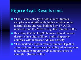 Figure 4c,d: Results cont.
 “The Hsp90 activity in both clinical tumour
samples was significantly higher relative to the
normal tissue and was inhibited by 17-AAG,
radicicol, and 0.5 M KCl (Fig.4d)” (Kamal 2003).
 Resulting that the Hsp90 human clinical tumour
tissues is in a high-affinity, multi-chaperone
complex with increased ATPase activity
 “The markedly higher affinity tumour Hsp90 in
vivo explains the remarkable ability of ansamycins
to accumulate progressively at tumour sites in
animals.” (Kamal 2003)
 