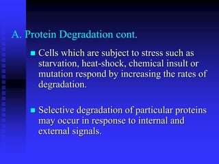 A. Protein Degradation cont.
 Cells which are subject to stress such as
starvation, heat-shock, chemical insult or
mutation respond by increasing the rates of
degradation.
 Selective degradation of particular proteins
may occur in response to internal and
external signals.
 