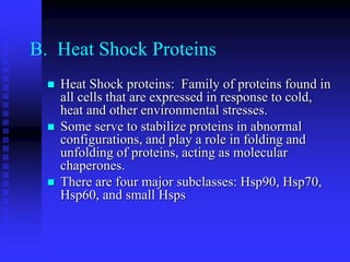 B. Heat Shock Proteins
 Heat Shock proteins: Family of proteins found in
all cells that are expressed in response to cold,
heat and other environmental stresses.
 Some serve to stabilize proteins in abnormal
configurations, and play a role in folding and
unfolding of proteins, acting as molecular
chaperones.
 There are four major subclasses: Hsp90, Hsp70,
Hsp60, and small Hsps
 