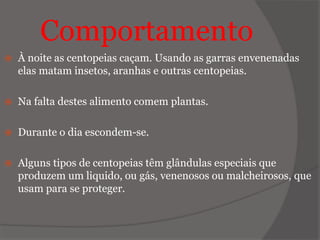 Comportamento
 À noite as centopeias caçam. Usando as garras envenenadas
elas matam insetos, aranhas e outras centopeias.
 Na falta destes alimento comem plantas.
 Durante o dia escondem-se.
 Alguns tipos de centopeias têm glândulas especiais que
produzem um liquido, ou gás, venenosos ou malcheirosos, que
usam para se proteger.
 
