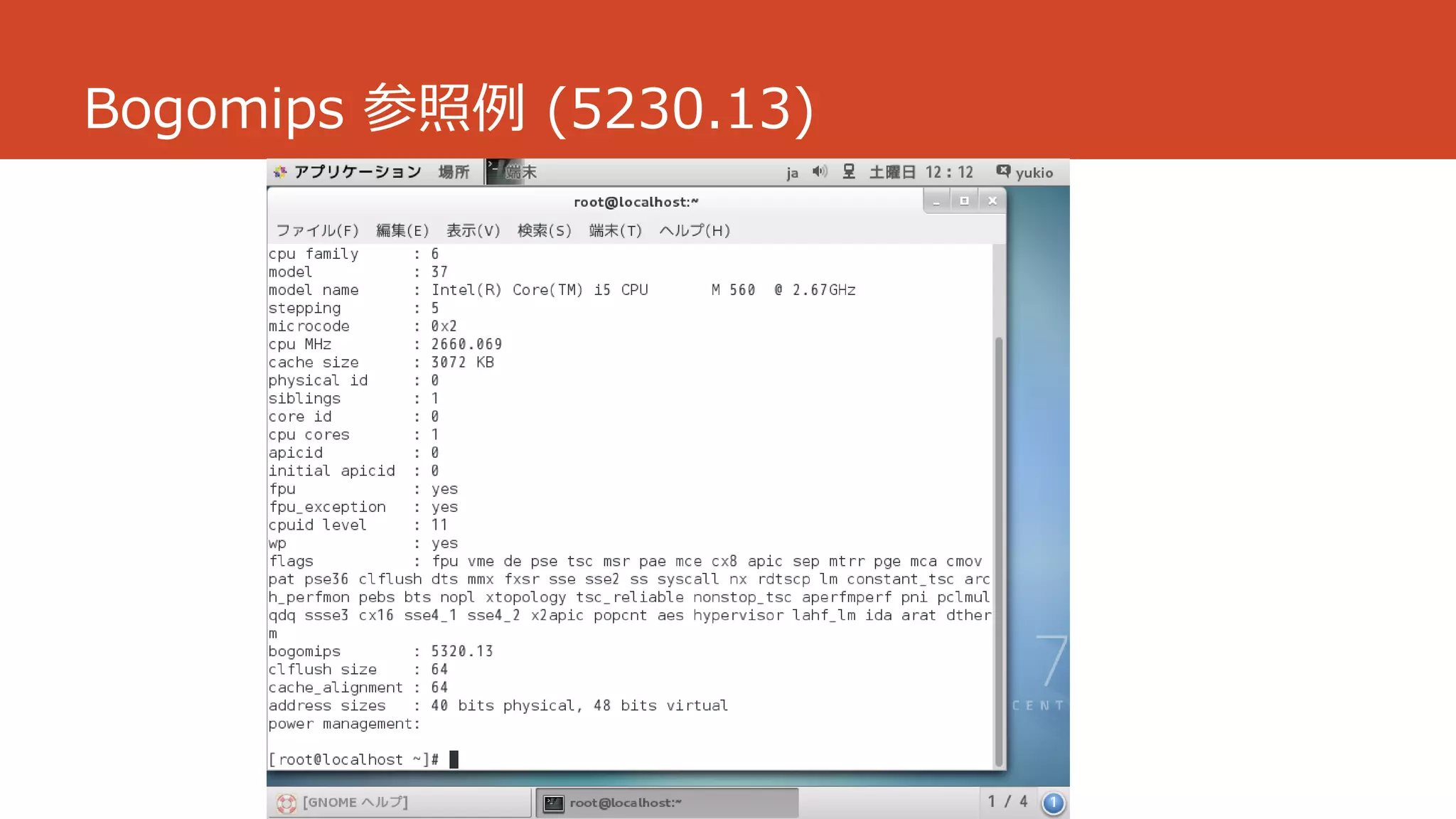 Bogomips 参照例 (5230.13)
 