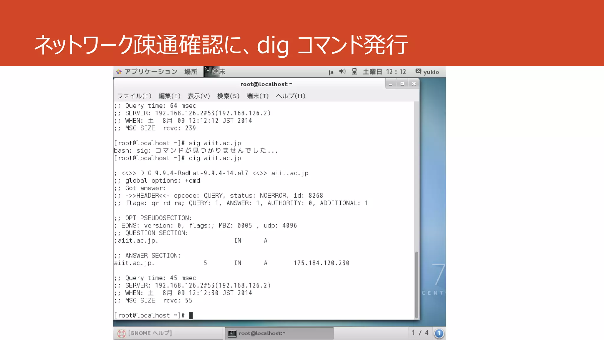 ネットワーク疎通確認に、dig コマンド発行
 