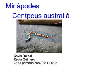 Miriàpodes
  Centpeus australià




  Kevin Ruibal
  Kevin Quintero
  3r de primària curs 2011-2012
 