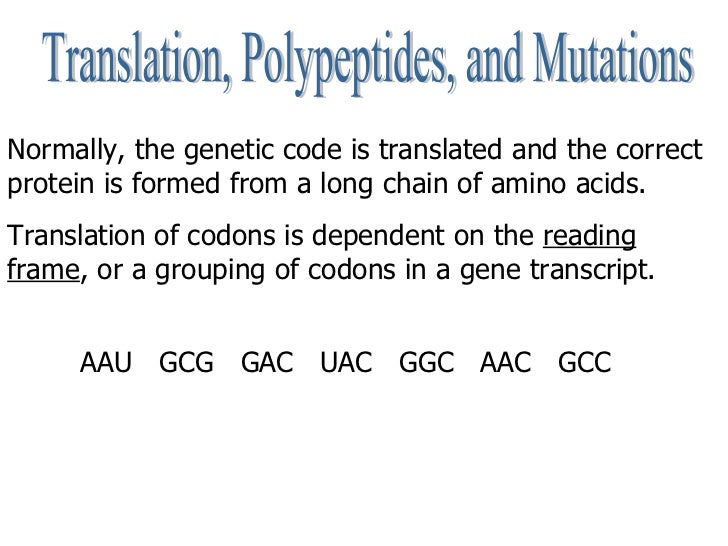 Central Dogma And Protein Synthesis