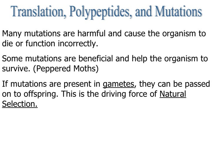 Explain the importance of positive reinforcement Explain the importance of positive reinforcement