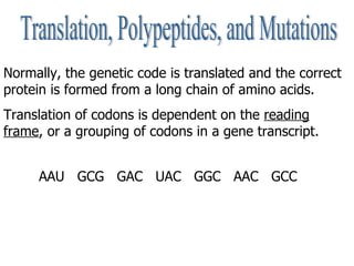 Translation, Polypeptides, and Mutations Normally, the genetic code is translated and the correct protein is formed from a...