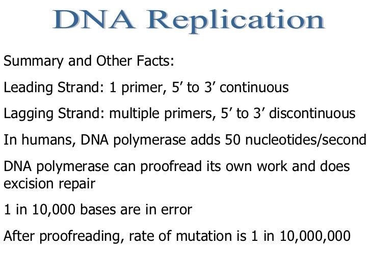 facts about nucleic acids