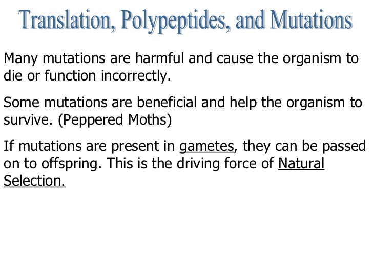 Are Mutations Are The Driving Force Of Natural Selection Are Mutations Are The Driving Force Of Natural Selection