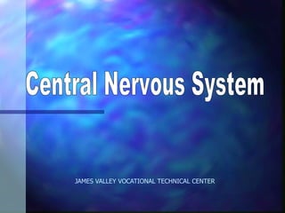 JAMES VALLEY VOCATIONAL TECHNICAL CENTER Central Nervous System 