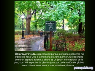 Strawberry Fields, esta zona del parque en forma de lágrima fue
tributo de Yoko Ono a la memoria de John Lennon, fue diseñada
como un espacio abierto, y ahora es un jardín internacional de la
paz, con 161 especies de plantas (una por cada nación del globo)
        como olmos escoceses, rosas, abedules y fresas.
 