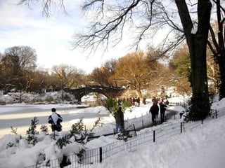 Central park-new-york- m
