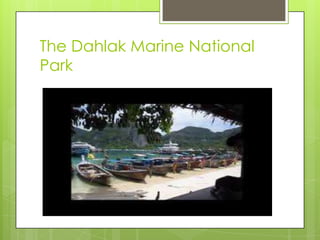 The Dahlak Marine National
Park
 