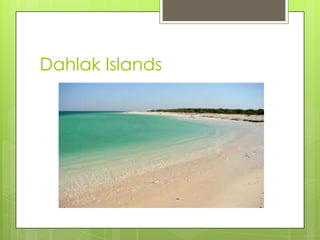 Dahlak Islands
 